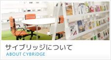 サイブリッジについて